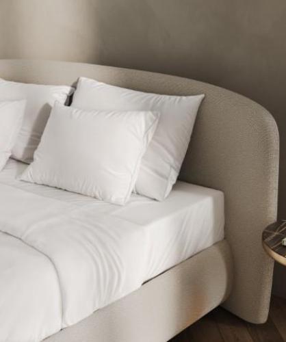 Bedtime - Schramm Purebeds Levina